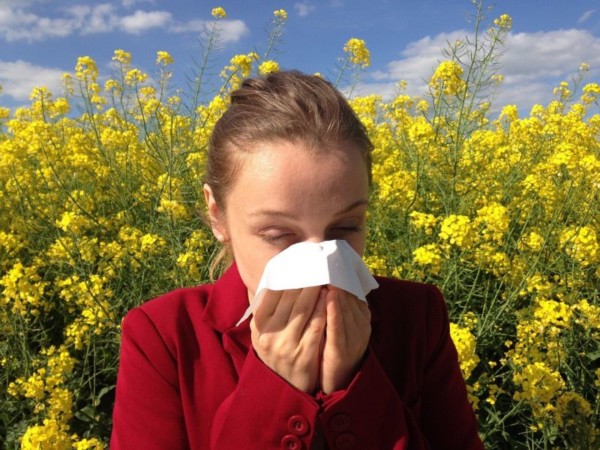 lüftungsanlagen allergien
